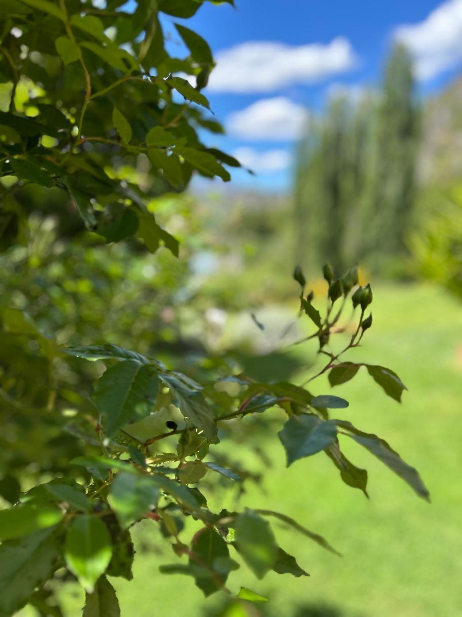 The Canyons B&B Queenstown Luaran gambar